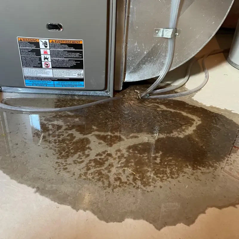 Appliance Leak Cleanup in Atmore, AL